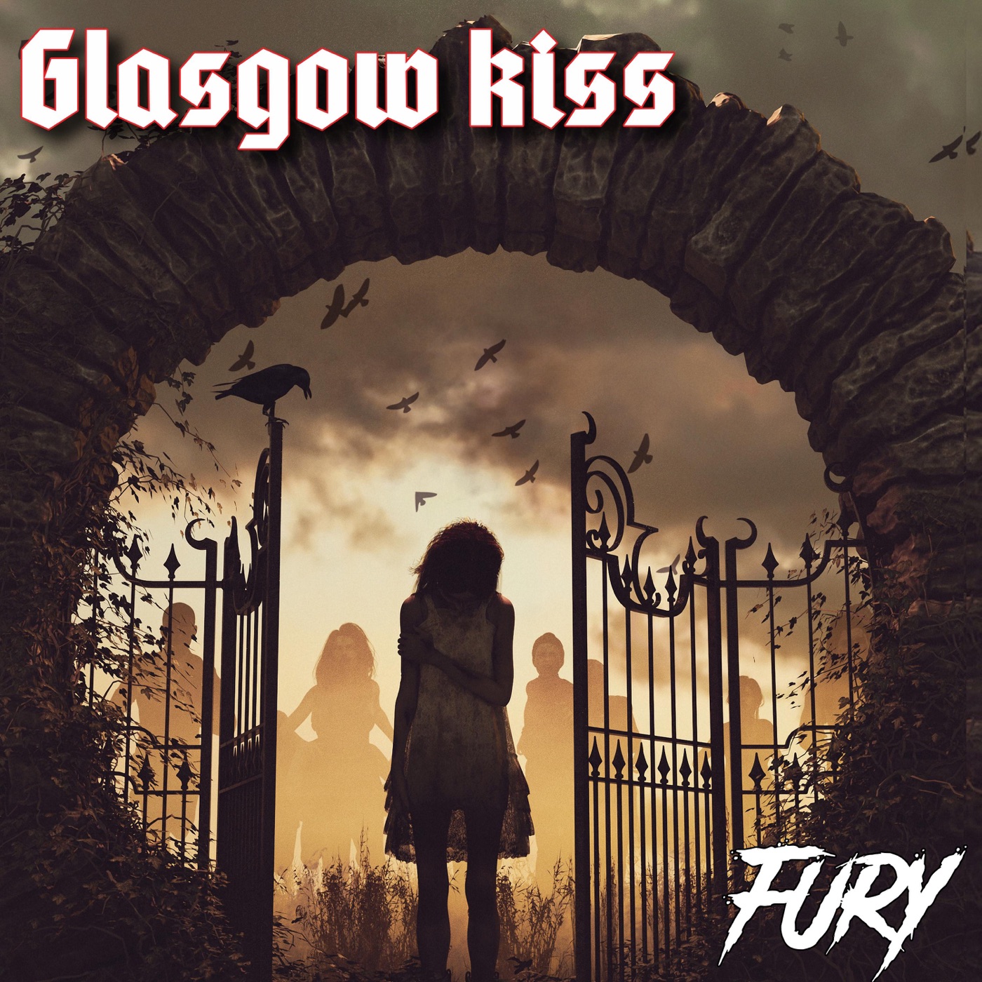Fury cover